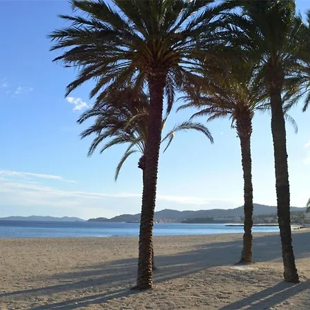 Apartman Renove Avec Terrasse Et Parking Au Lavandou - Fr-1-251-871